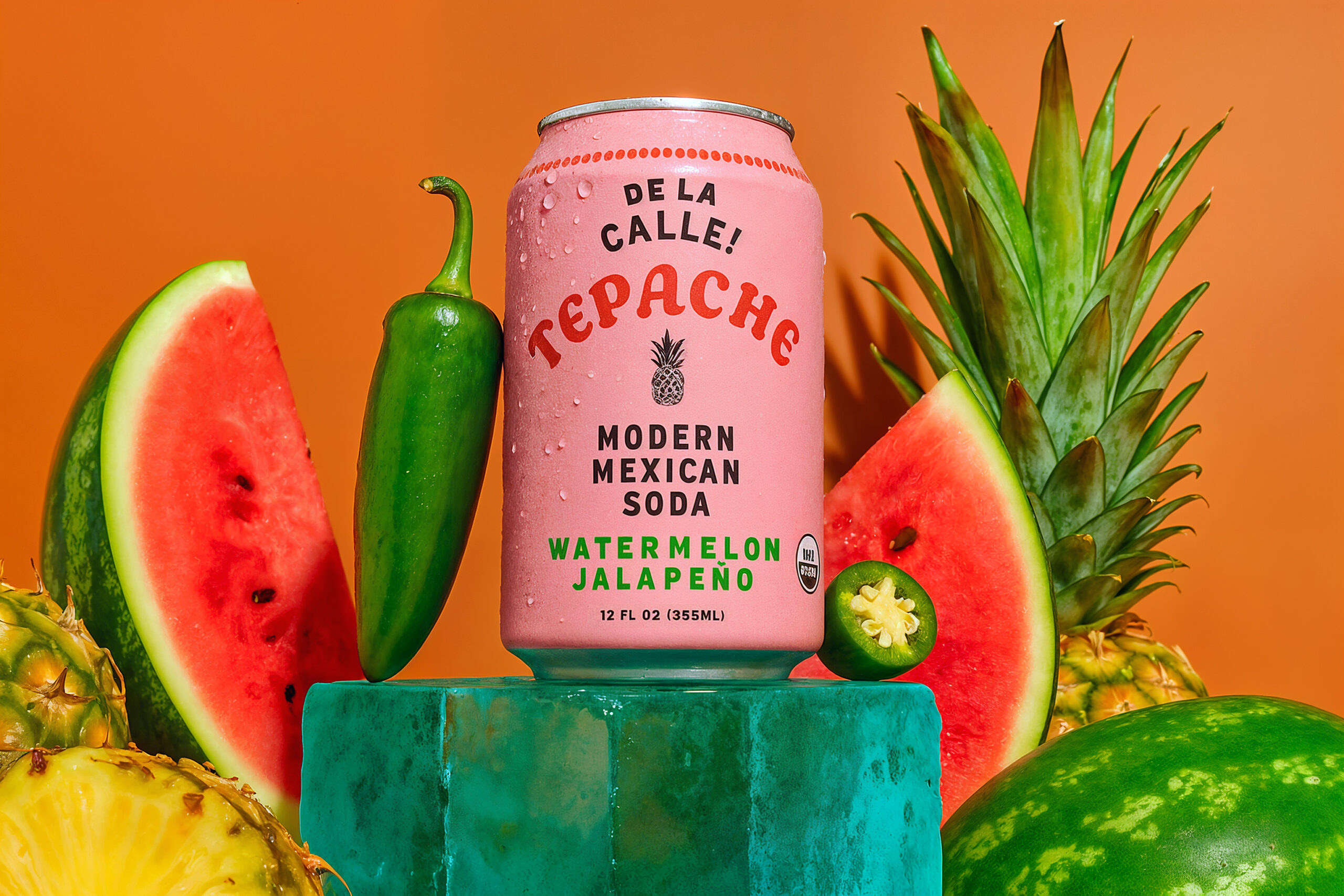 Tepache 2